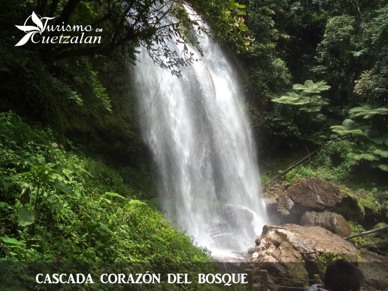 Cascada corazón del bosque