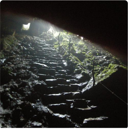 Paquete 10 - Gruta aventura