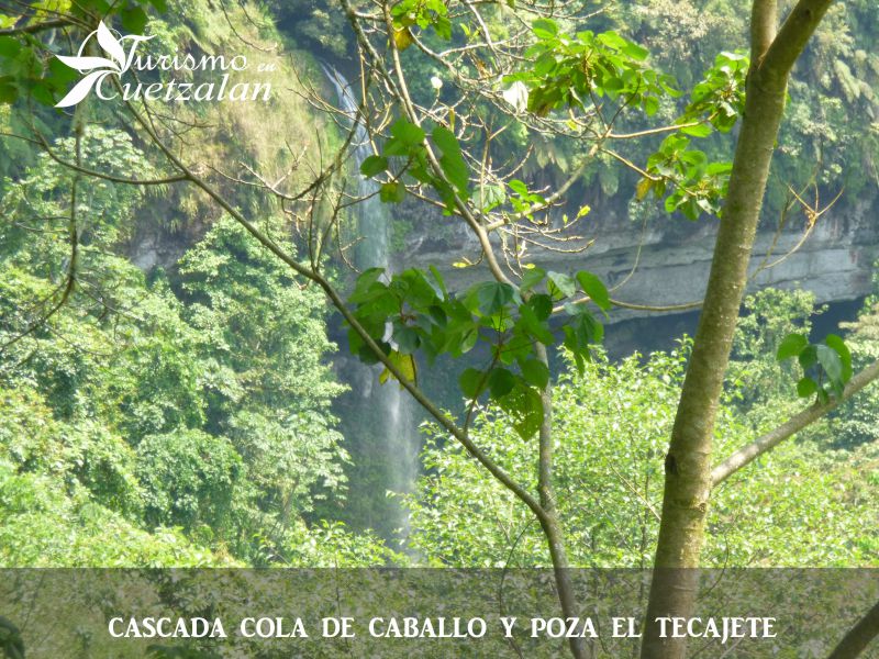 Paquete 3 - A caballo a cascada cola de caballo